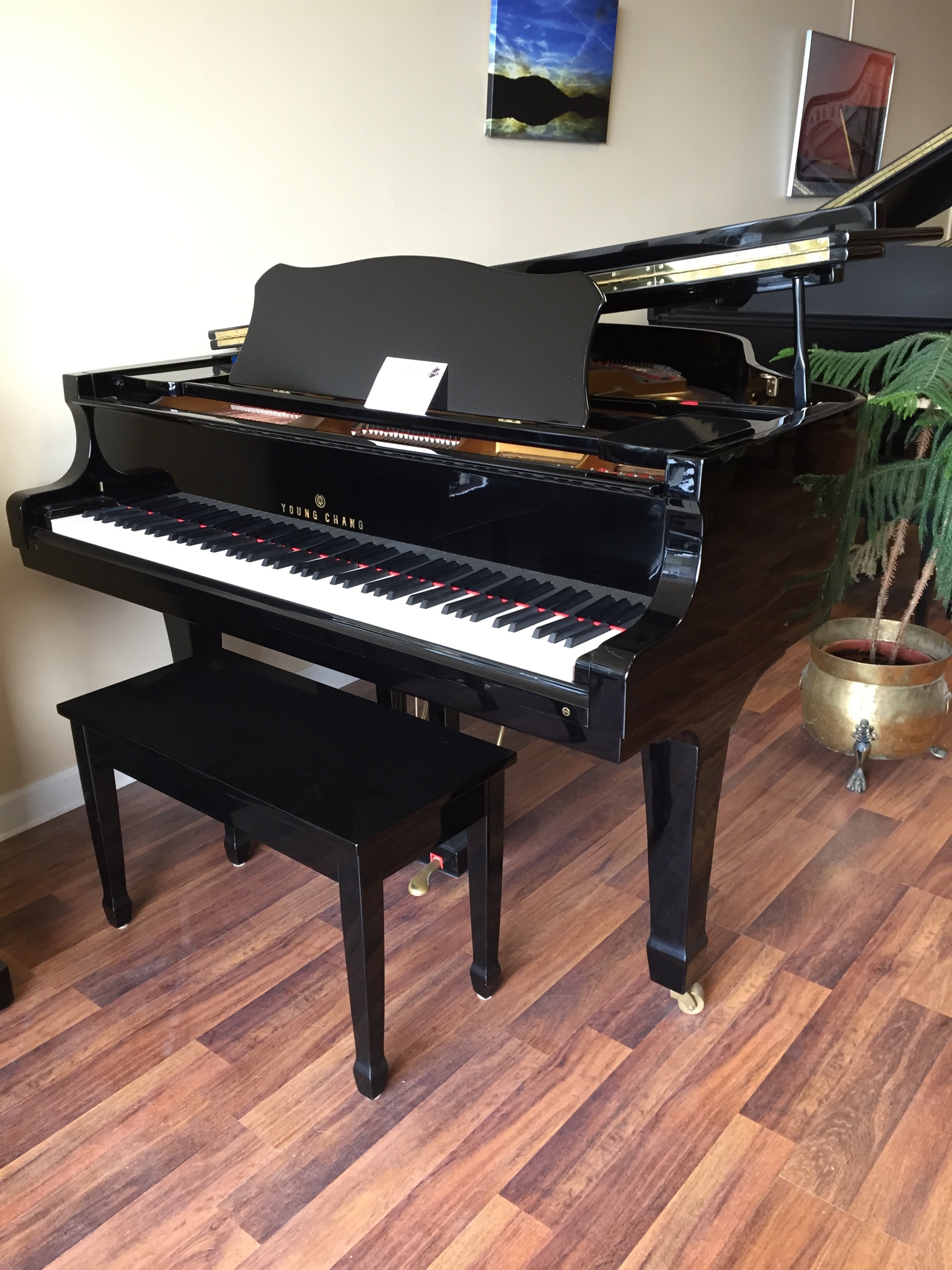 Schedule A Piano Tuning Today!